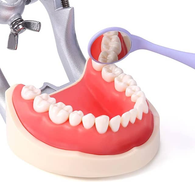 نحوه دید آینه معاینه دندانپزشکی