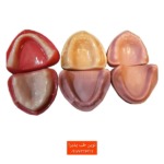 #مجموعهای از شش مدل آموزشی لثه نرم (فک بیدندان) در رنگها و شکلهای مختلف، مناسب برای آموزش کامل پروتزهای متحرک.