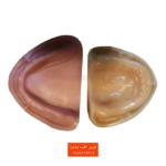 #دو مدل آموزشی لثه نرم (فک بیدندان) به رنگ صورتی و کرم، از نمای بالا، مناسب برای تمرینات پروتز متحرک.