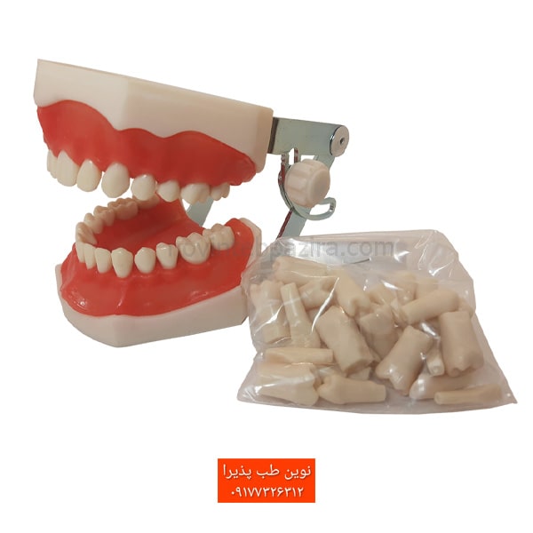 آرک ترمیمی پایه بلند ۲۸ واحدی با آرتیکولاتور فلزی